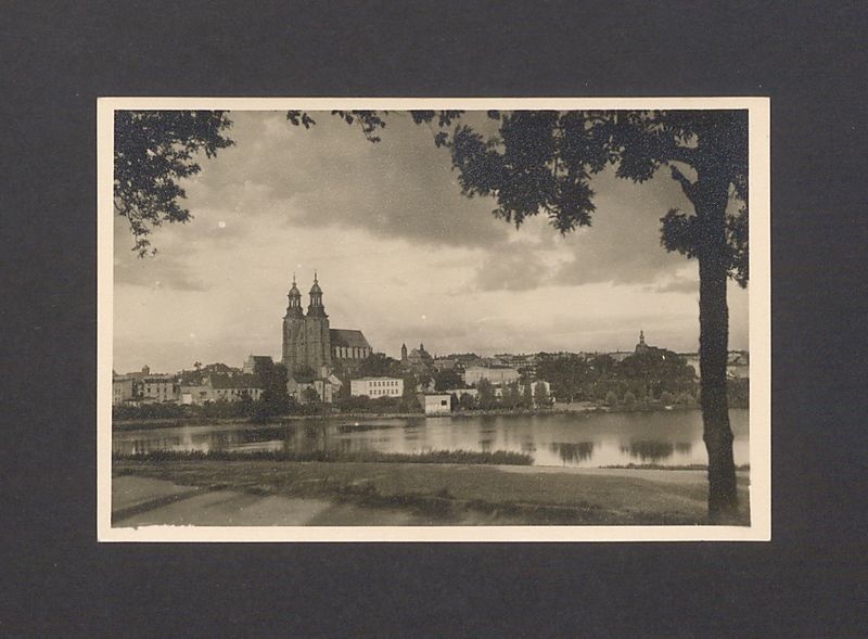 Widok na miasto od strony jeziora Jelonek.