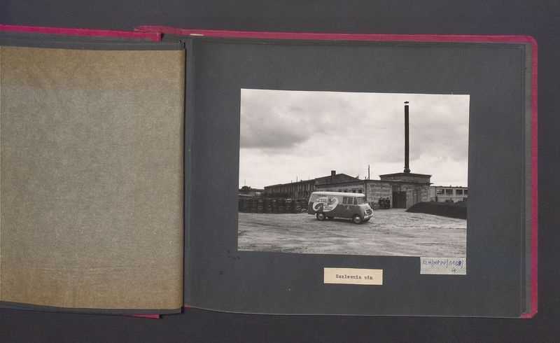 Poszczególne etapy produkcji w Wytwórni Win przy ul. Park Kościuszki 17. Rozlewnia win.