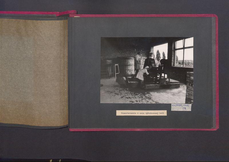 Poszczególne etapy produkcji w Wytwórni Win przy ul. Park Kościuszki 17. Przecieraczka w nowowybudowanej hali.