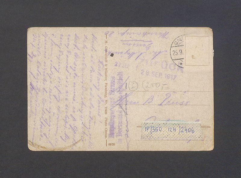 Widok na katedrę i panoramę miasta.