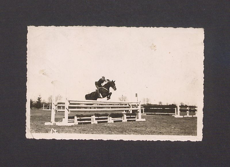 Zawody konne. Skok przez przeszkodę.