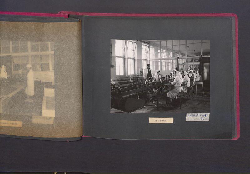 Poszczególne etapy produkcji w Wytwórni Win przy ul. Park Kościuszki 17. Na taśmie.