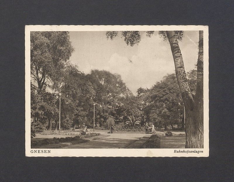 Park im. Tadeusza Kościuszki.