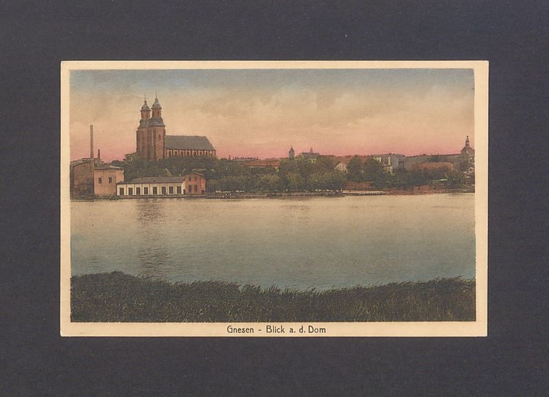 Widok na katedrę w Gnieźnie.