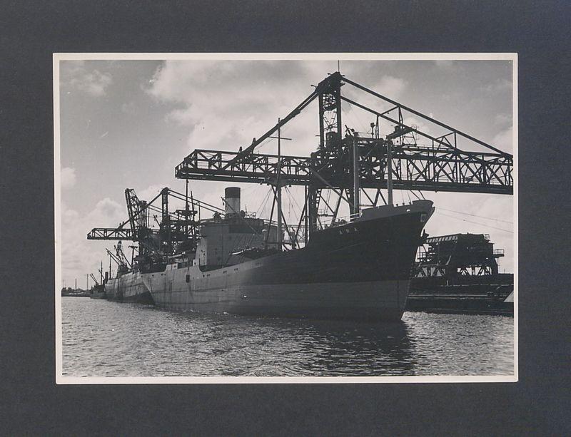 Tadeusz Kulisiewicz, fotografia