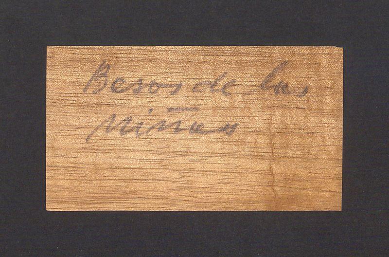 Wizytówka, Profr. Enrique Gottdiener