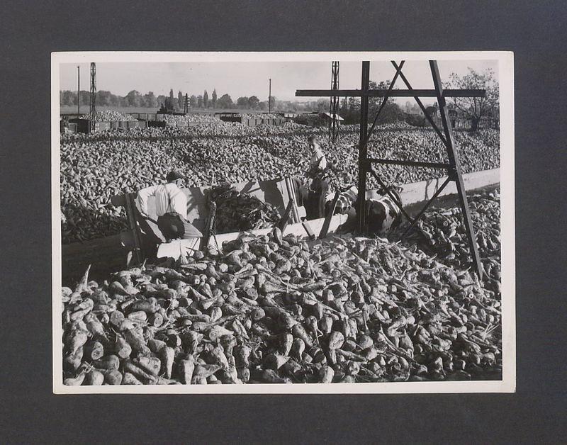 Tadeusz Kulisiewicz, fotografia