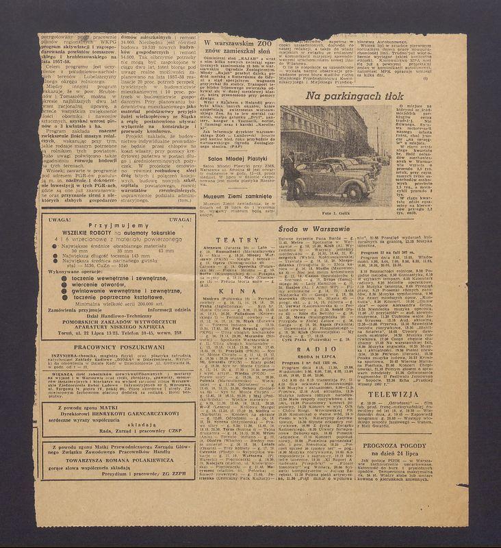 W warszawskim Zoo znów zamieszkał słoń