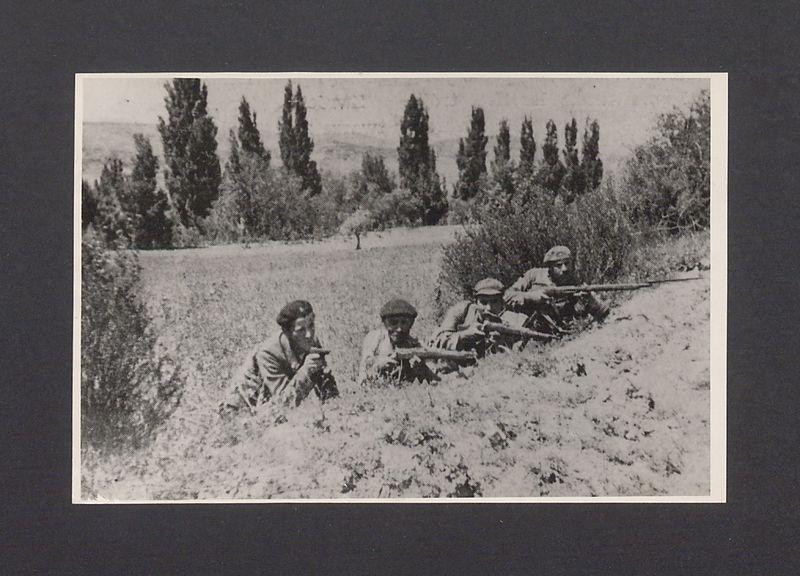 Towarzysze batalionu Palafoxa