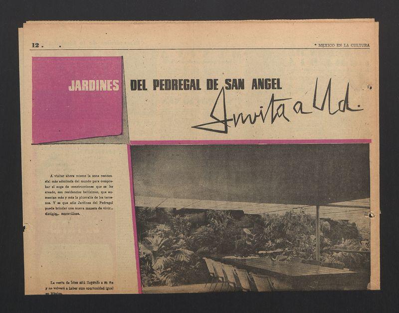 Jardines del pedregal de San Angel