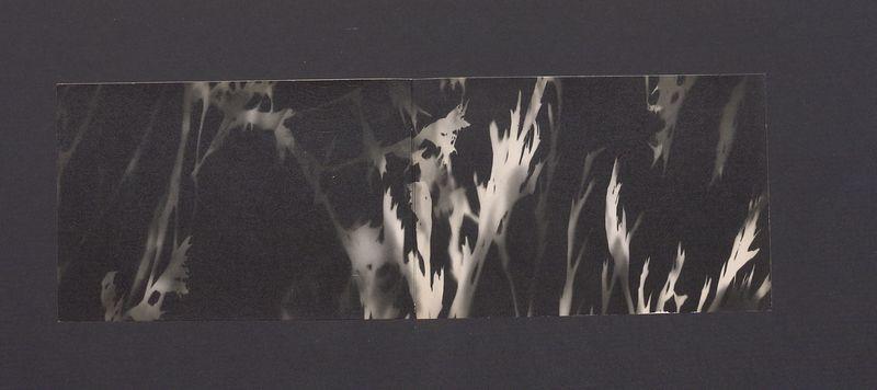 Miłym, kochanym Tadziom zdrowych spokojnych Świąt [...]