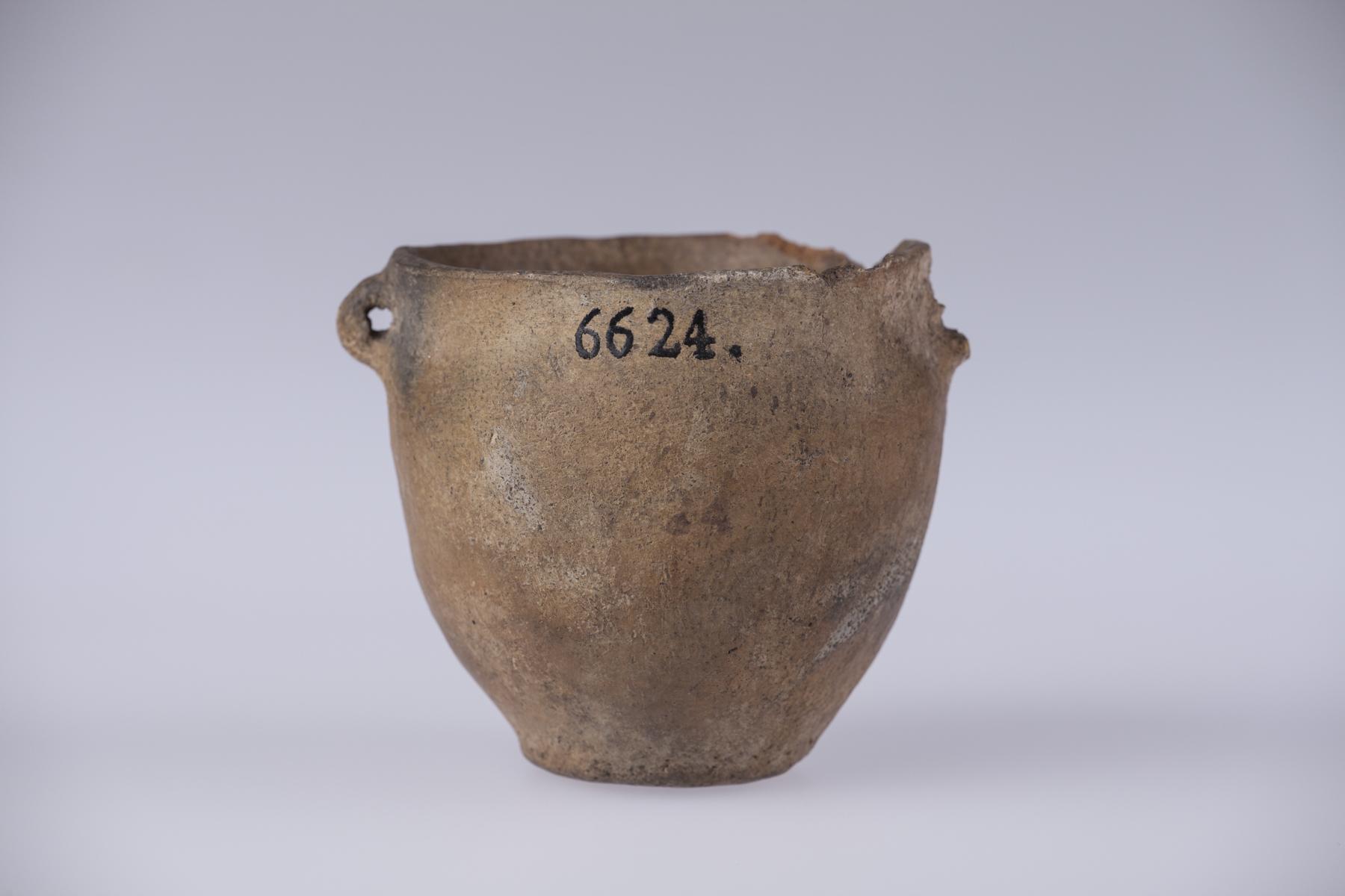 Garnek beczułkowaty