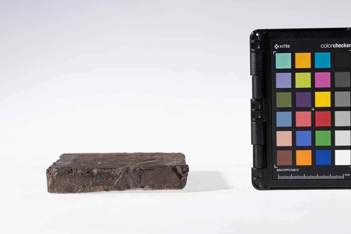 Płytka z motywem gryfa i rozetkami w tle