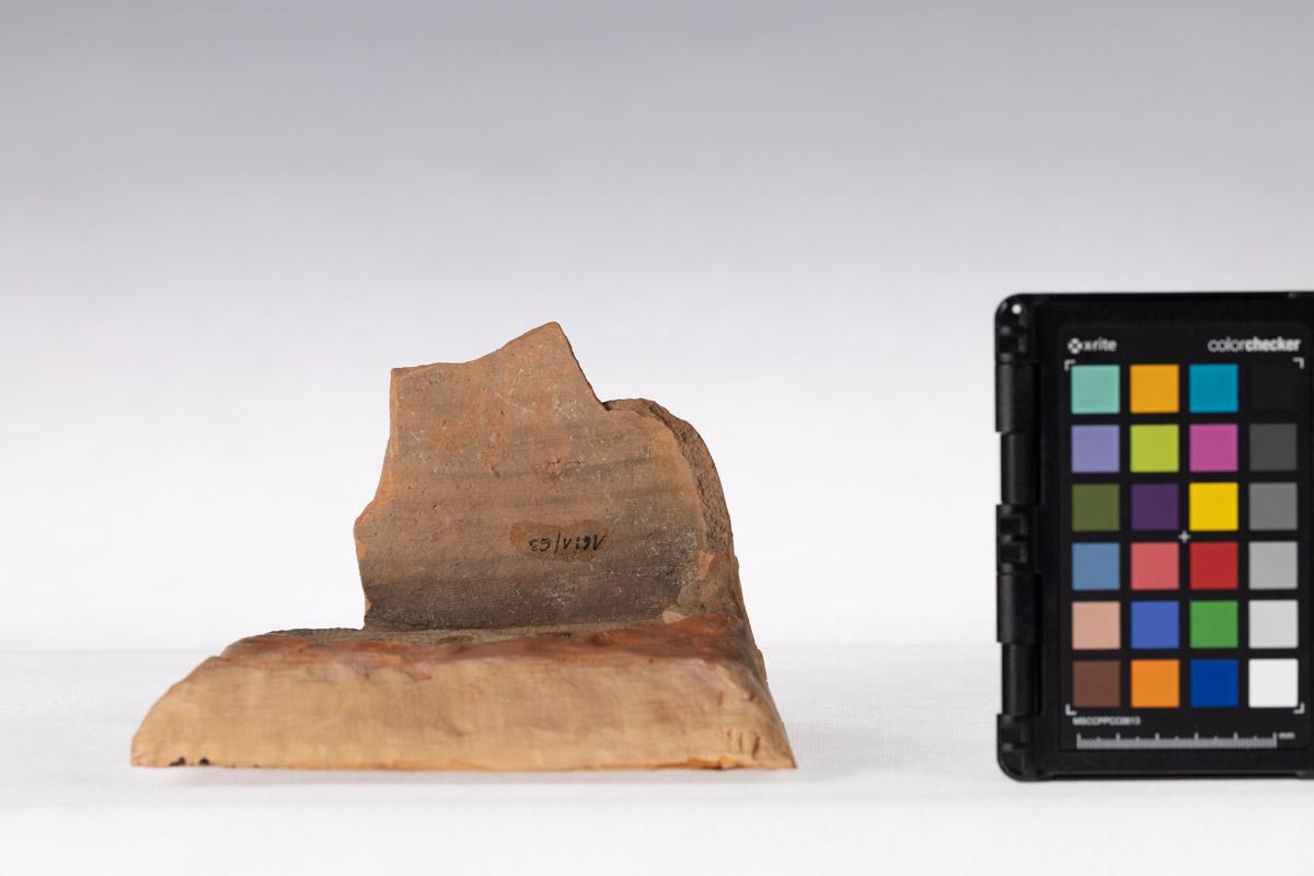 Kafel z motywem roślinnym