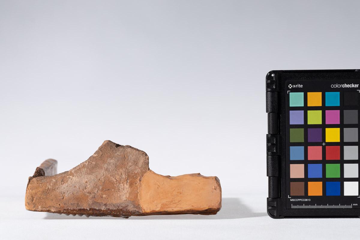 Kafel z herbem Korab