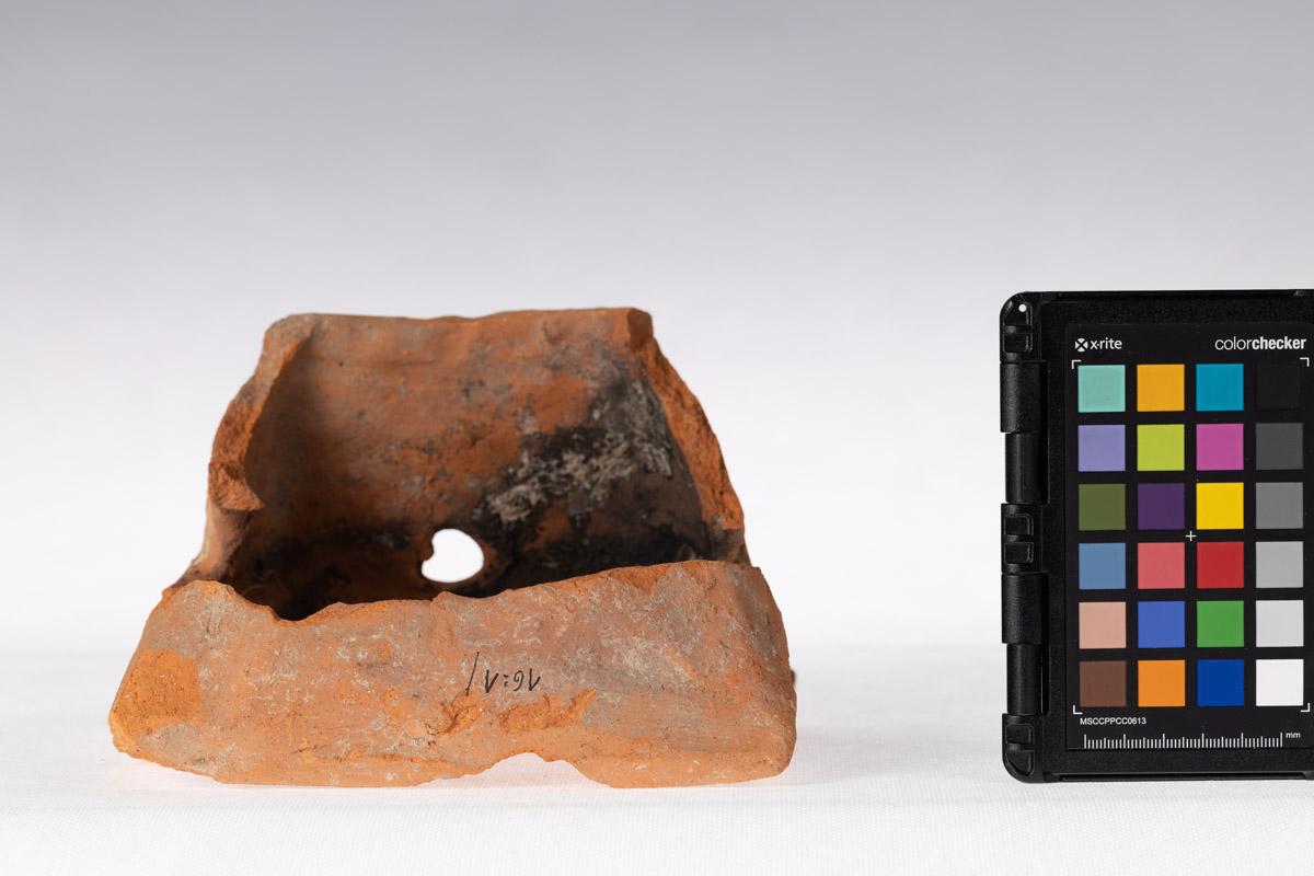 Kafel z motywem roślinnym