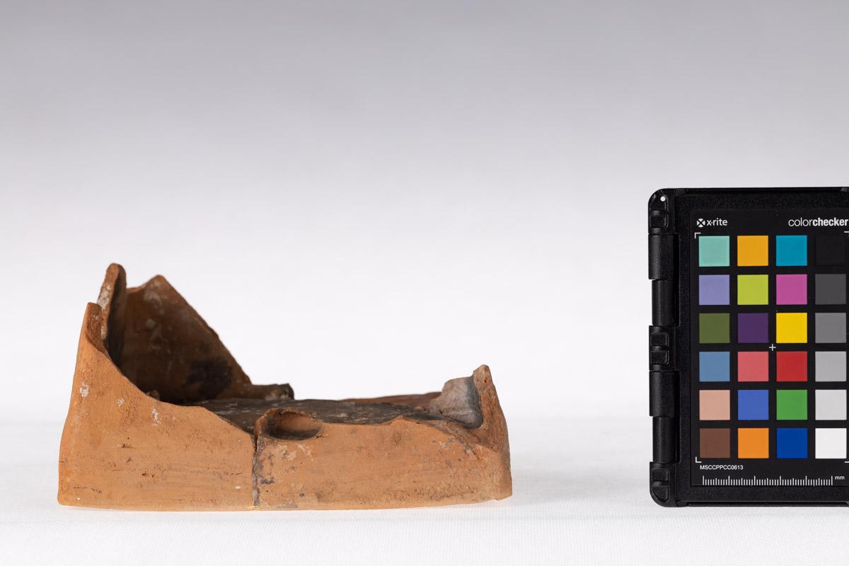 Kafel z motywem roślinnym