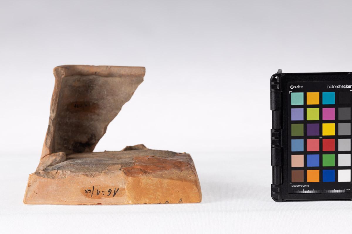 Kafel z motywem roślinnym