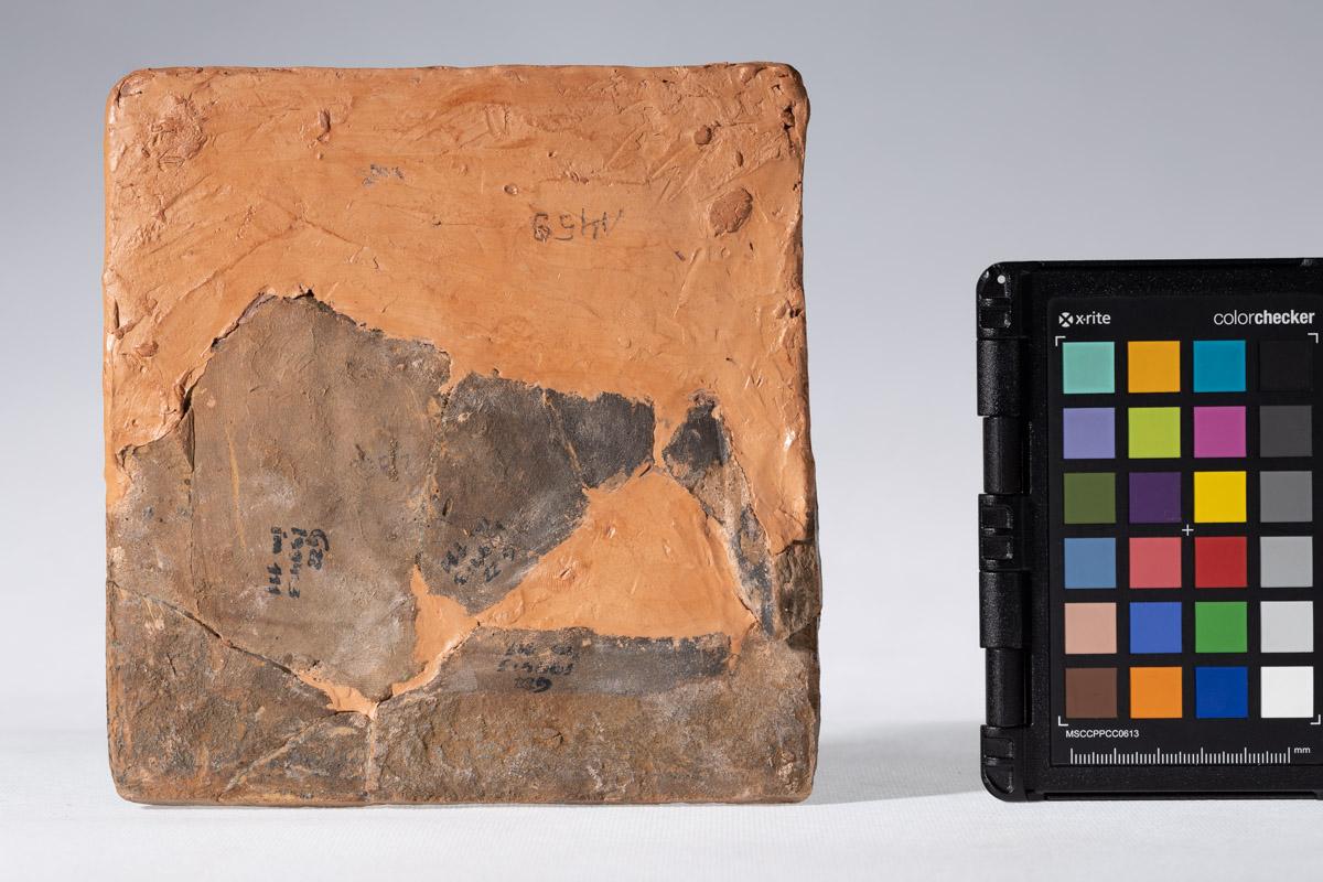 Kafel z herbem Jelita