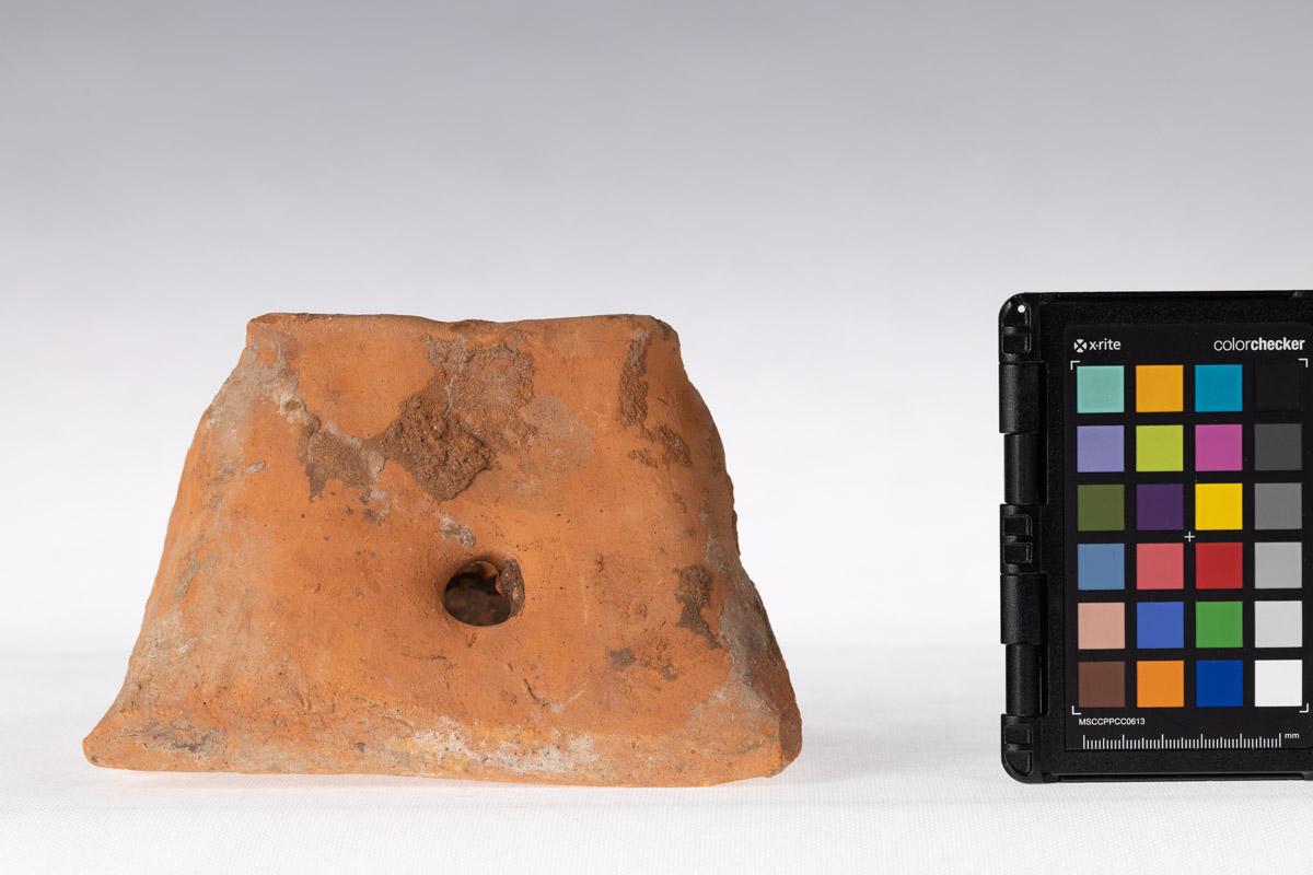 Kafel z motywem roślinnym