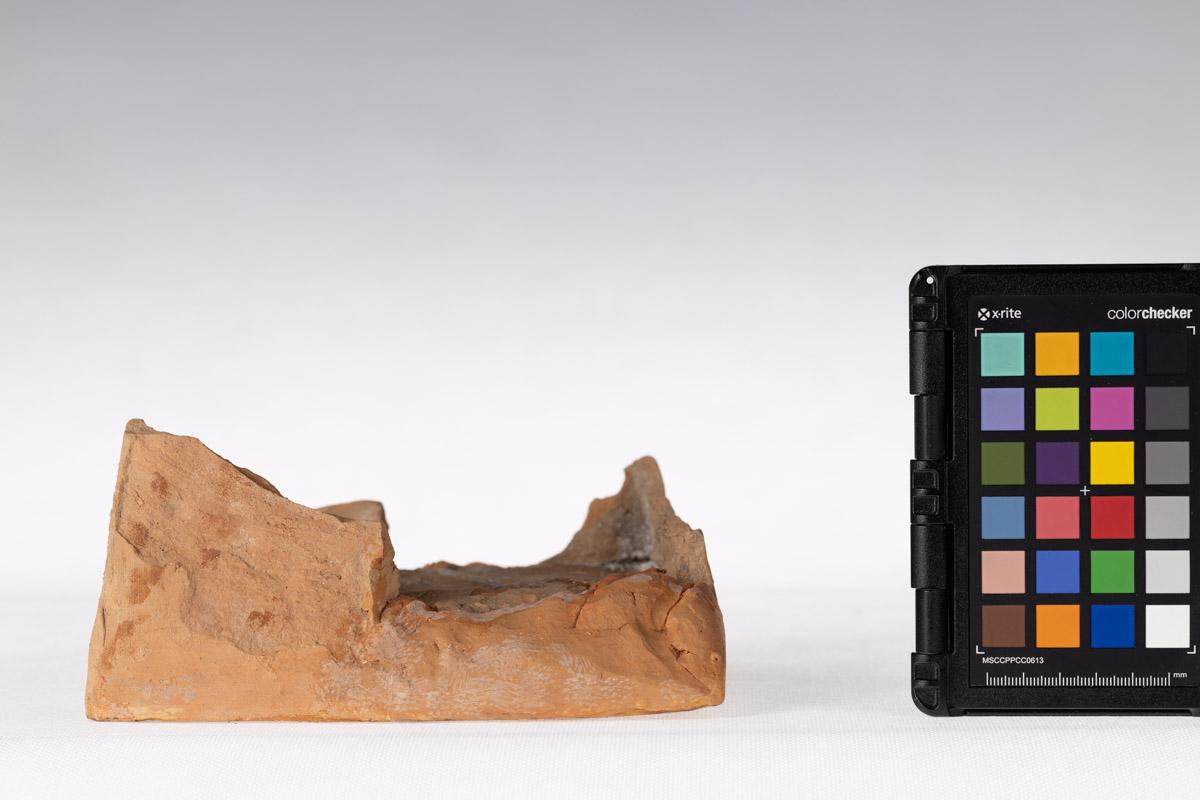 Kafel z motywem roślinnym