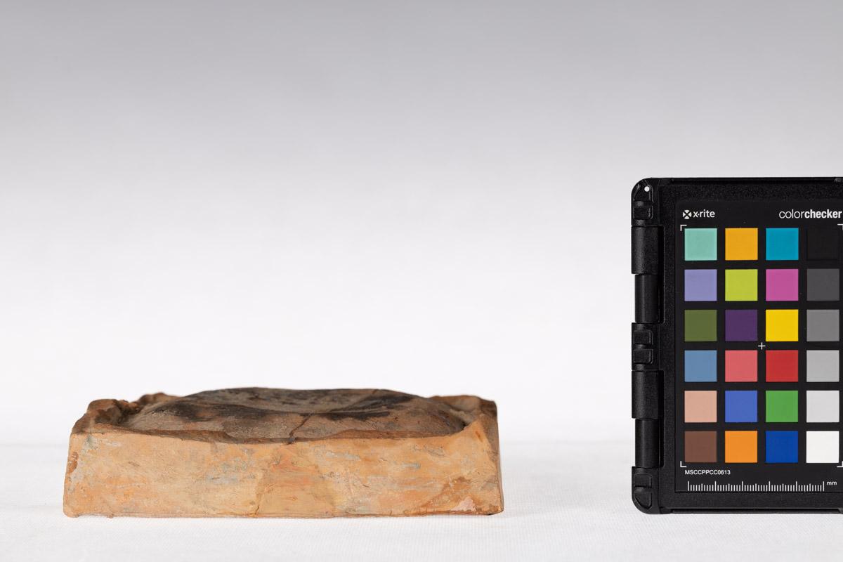 Kafel z motywem roślinnym