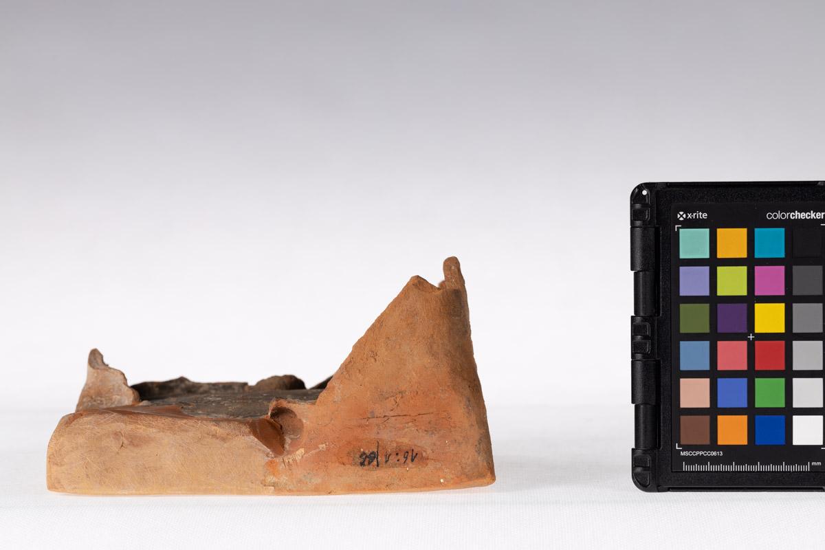 Kafel z motywem roślinnym