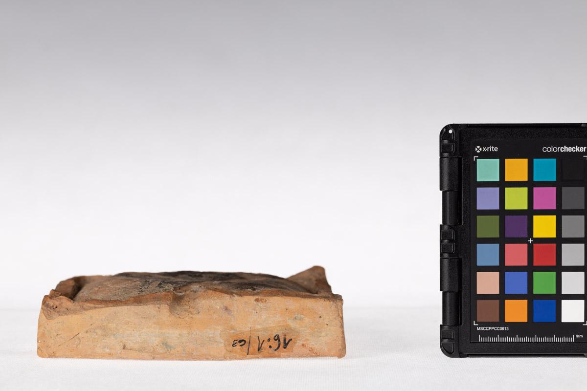 Kafel z motywem roślinnym