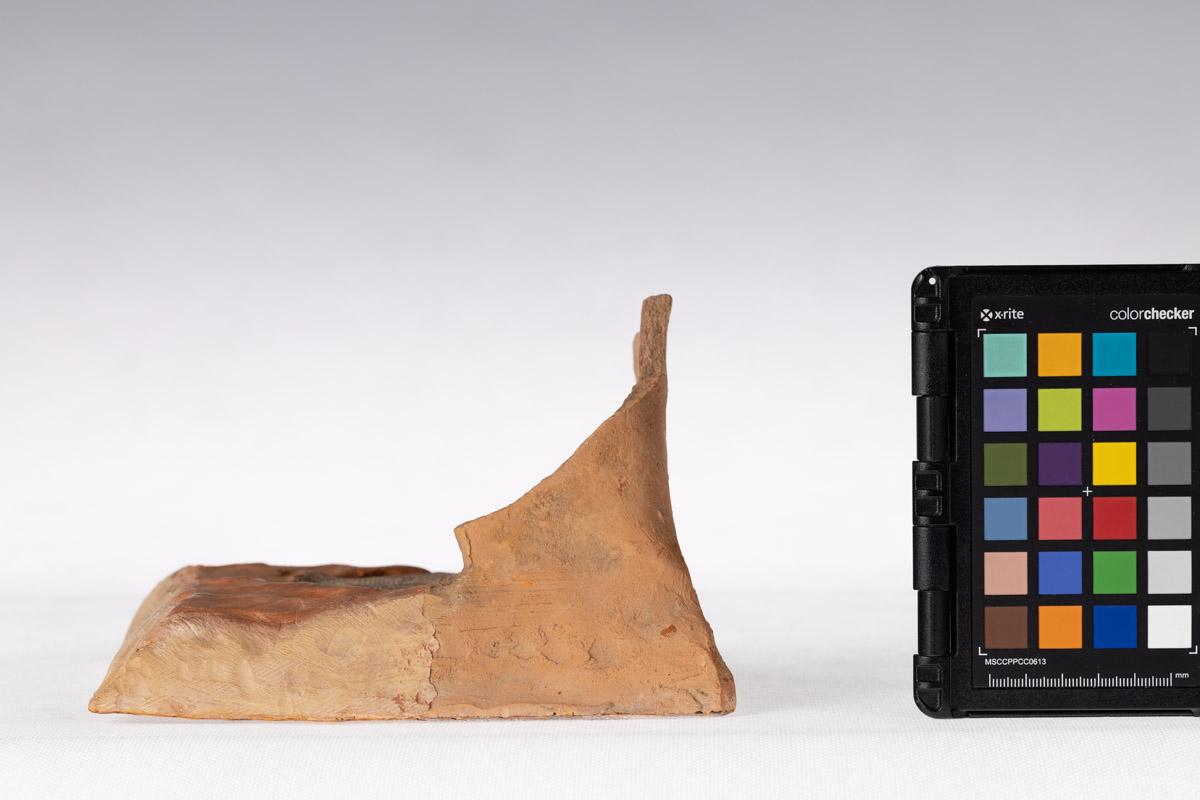 Kafel z motywem roślinnym