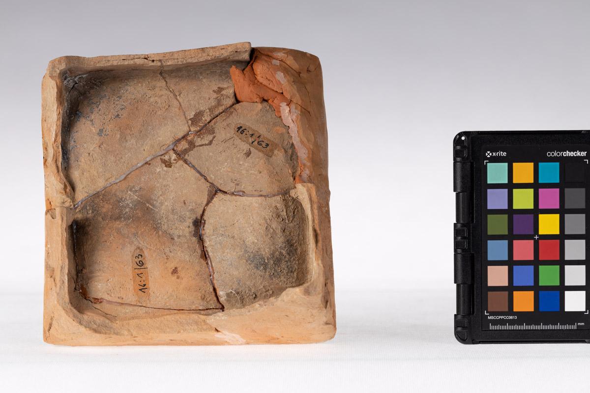 Kafel z motywem roślinnym