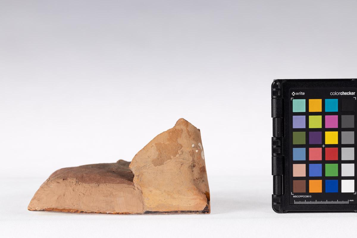 Kafel z motywem roślinnym