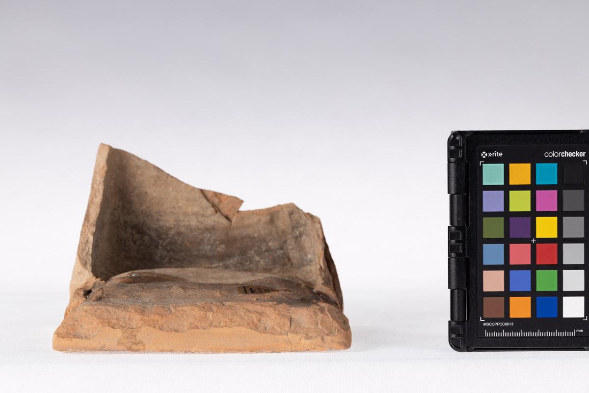 Kafel z motywem roślinnym