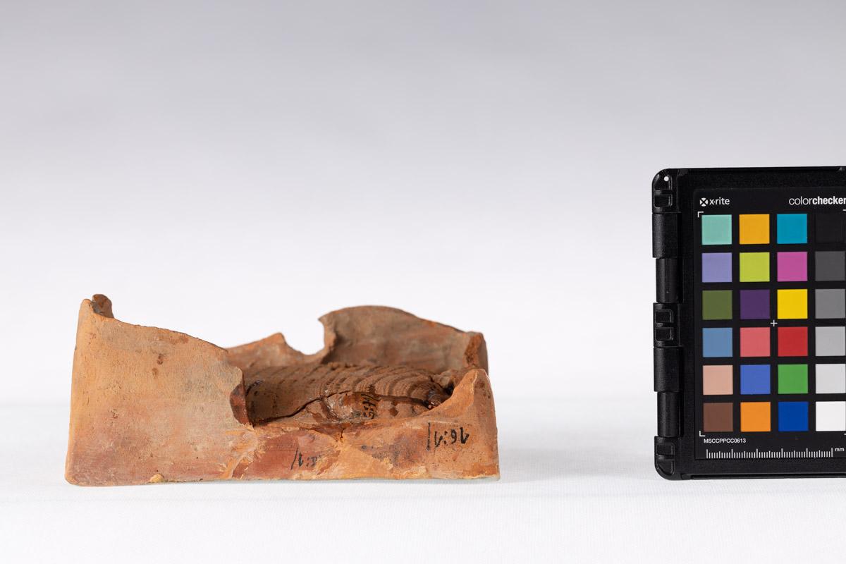 Kafel z rozetą kwiatową