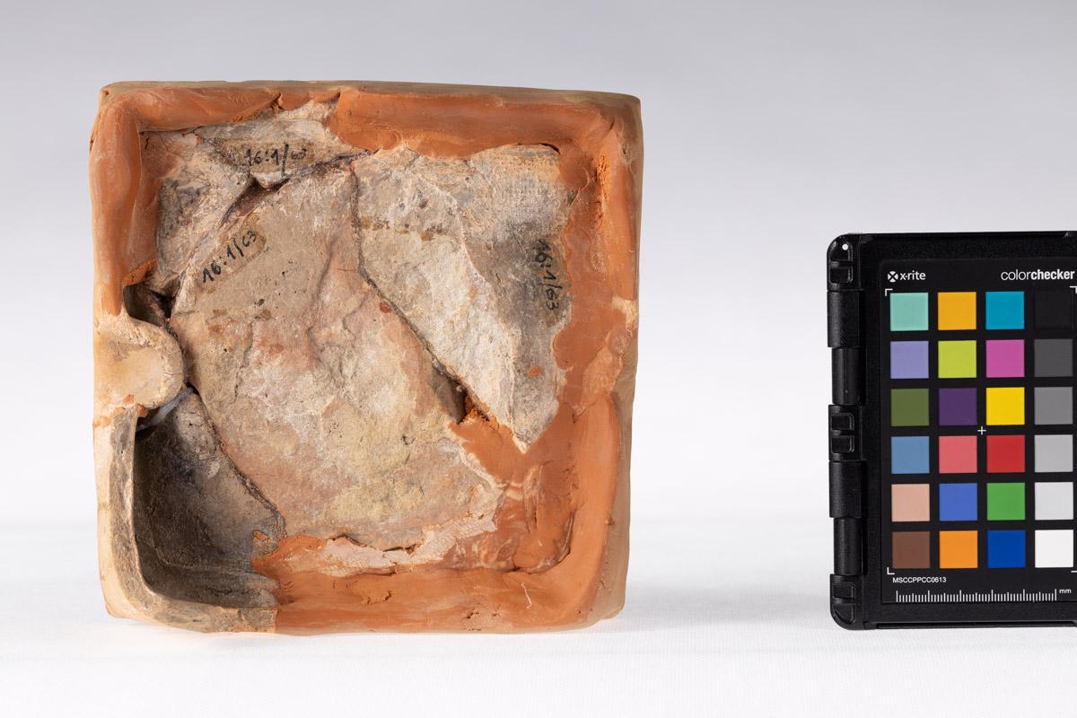 Kafel z motywem makówki