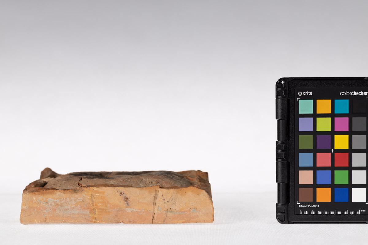 Kafel z motywem roślinnym