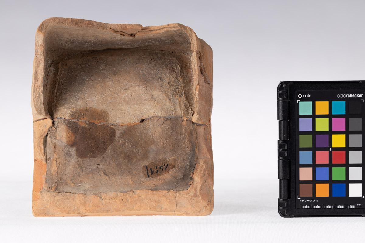 Kafel z motywem roślinnym