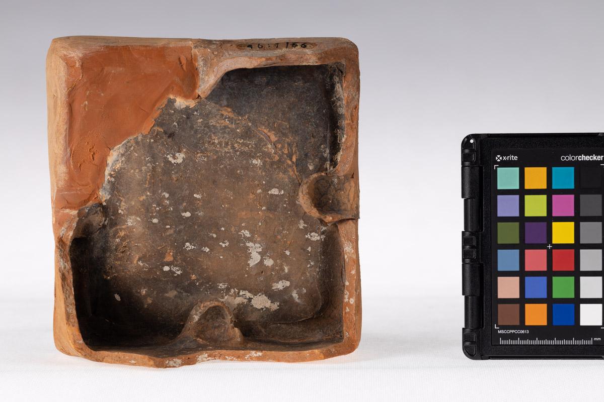 Kafel z motywem roślinnym