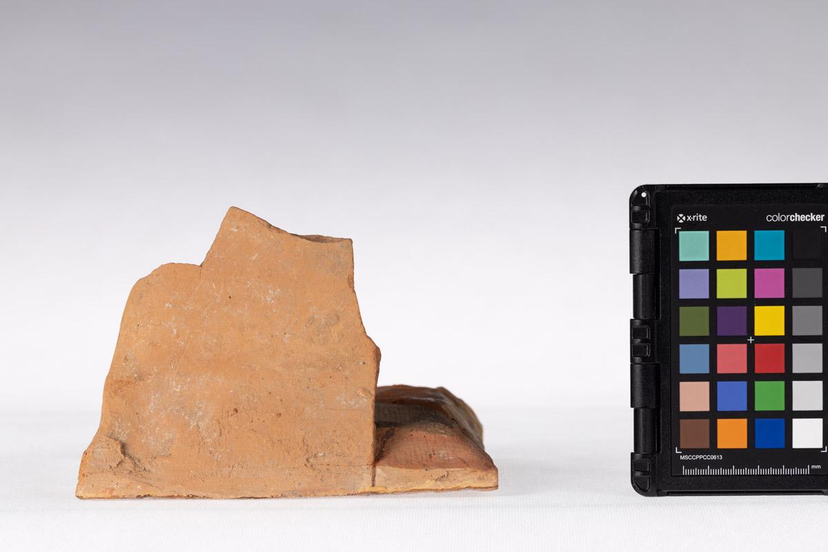 Kafel z motywem roślinnym