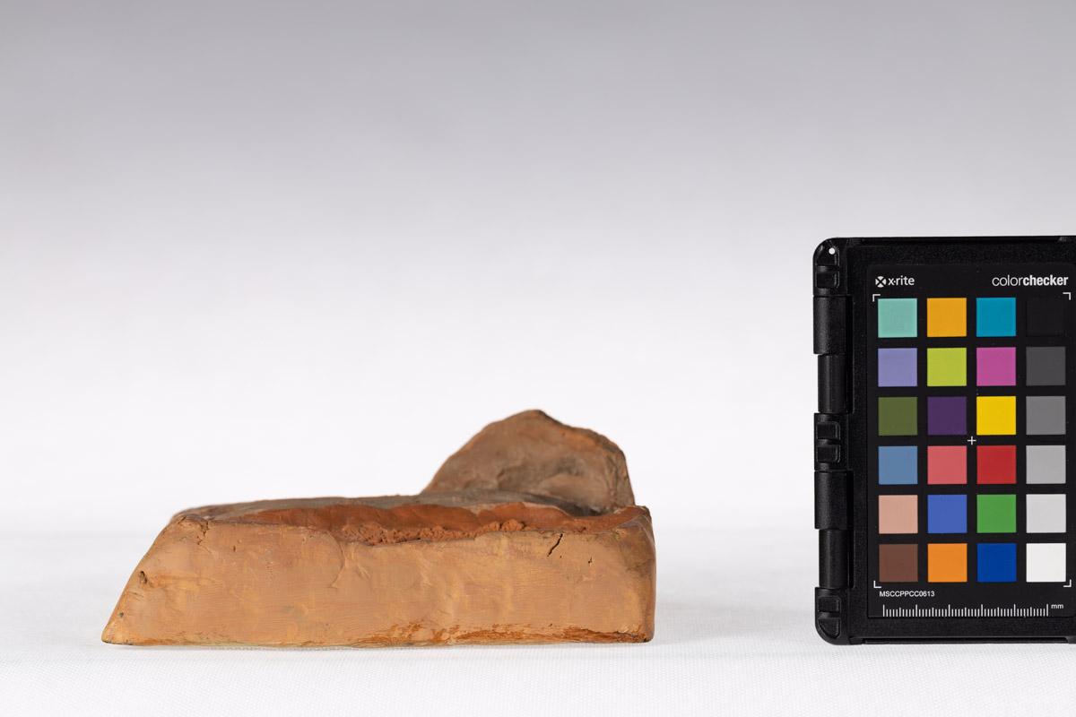 Kafel z motywem roślinnym