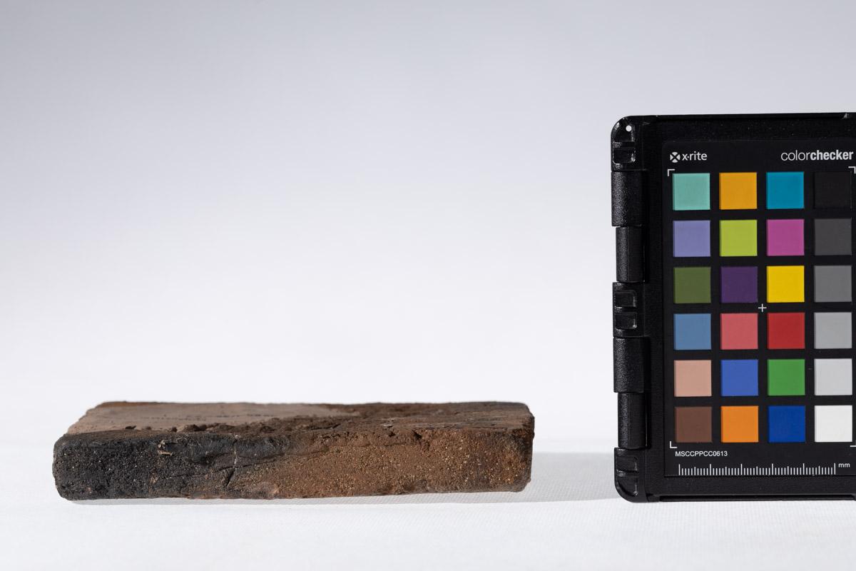 Płytka z wyobrażeniem człowieka prowadzącego lwa na arkanie