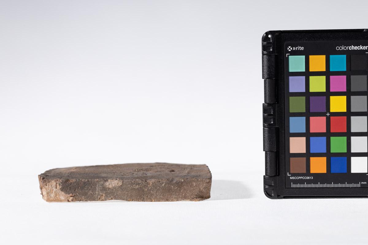 Płytka z wyobrażeniem byka