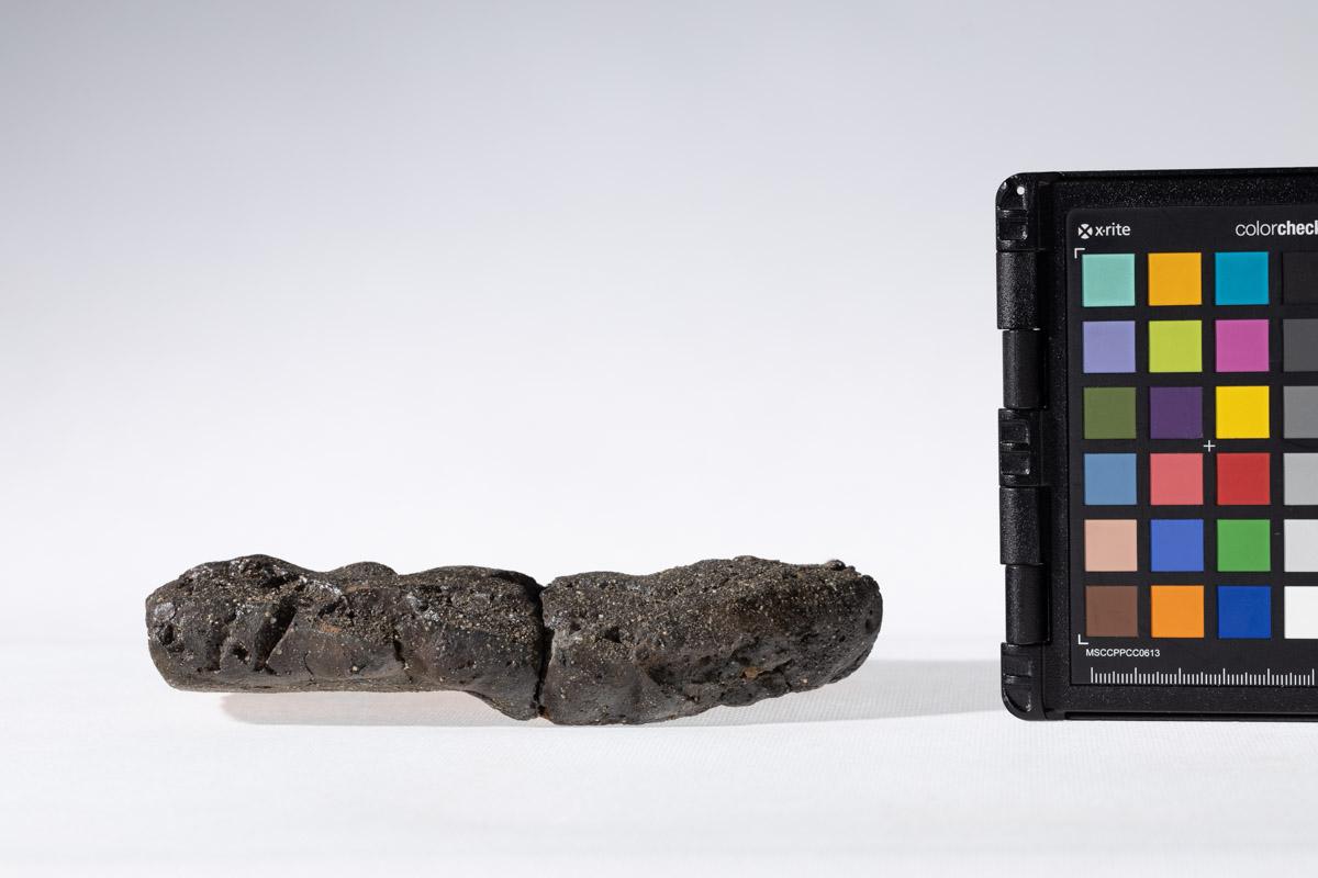 Płytka z wyobrażeniem człowieka prowadzącego lwa na arkanie