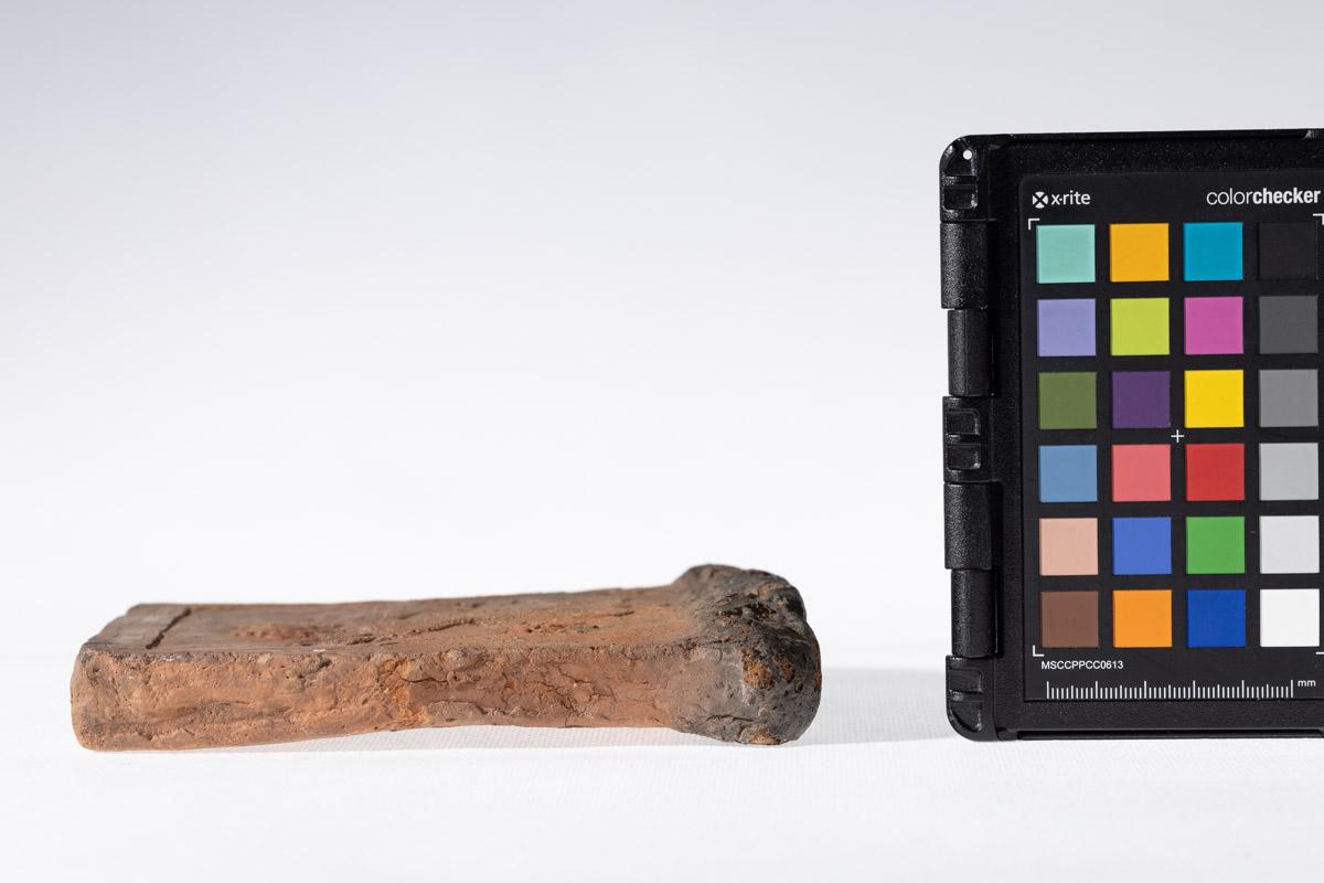 Płytka z wyobrażeniem byka