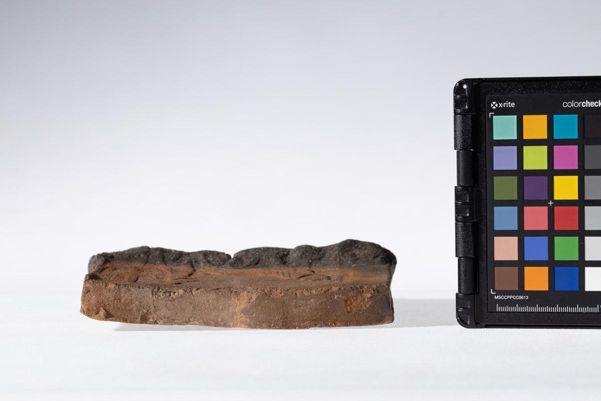 Płytka z wyobrażeniem człowieka prowadzącego lwa na arkanie