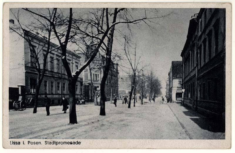 Aleje Zygmunta Krasińskiego w Lesznie