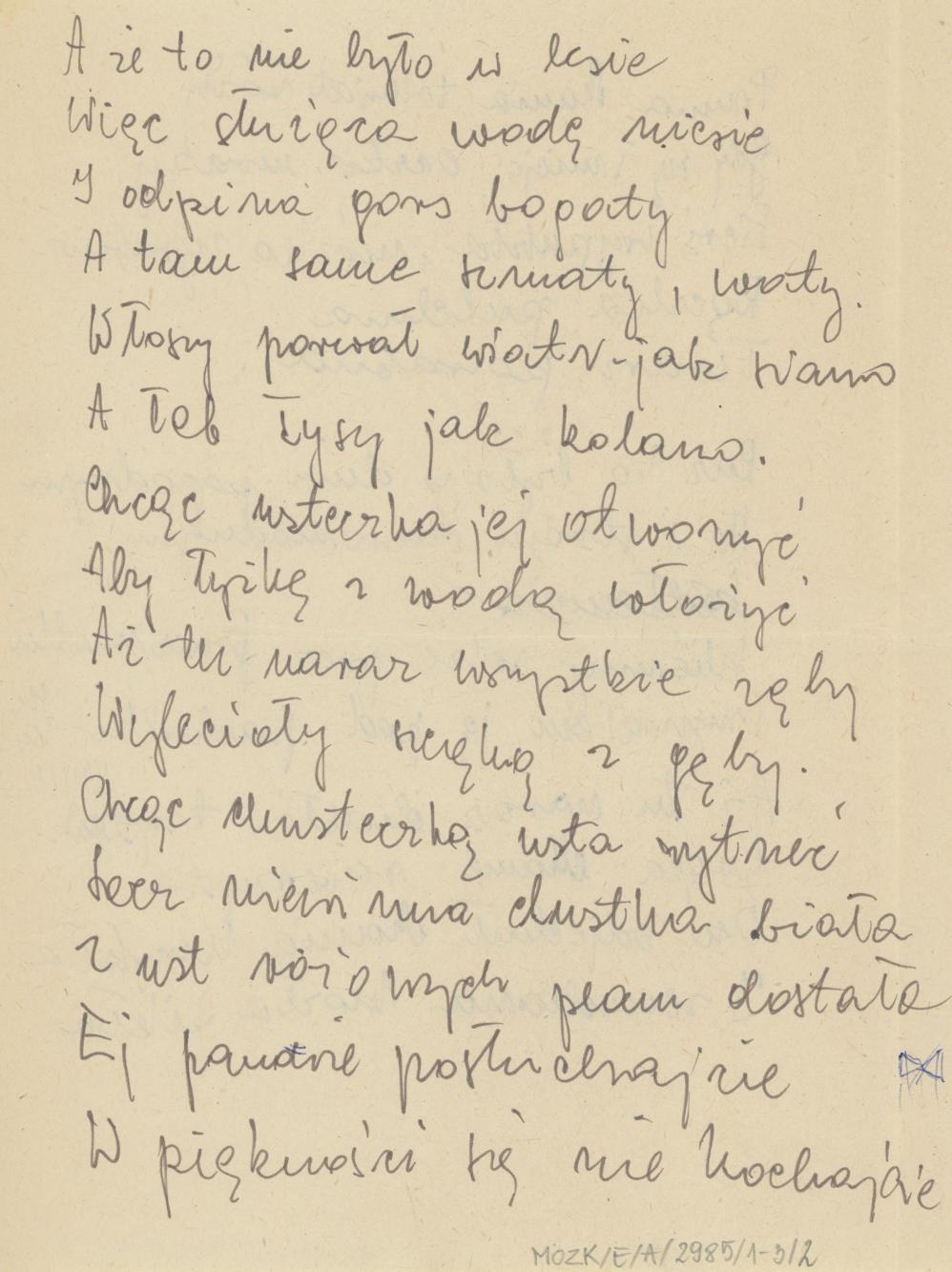 Panna Mania to kwiat róży