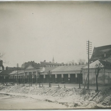 Jatki na tyłach katedry św. Mikołaja