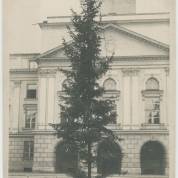 Choinka przed kaliskim ratuszem