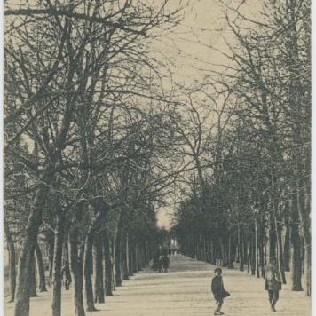 Aleja Józefiny, Kalisz