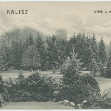 Widok w parku, Kalisz